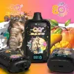 QQ Bang 80000 Puffs Disposable Vape