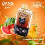 Bang Leader Stoll 120000 Disposable