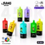 BANG LEADER 450000